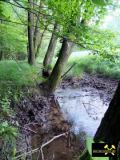 Lochborner Bergwerksteich bei Bieber im Nordspessart, Hessen, (D) (12) 31. Mai 2014 Zufluss.JPG